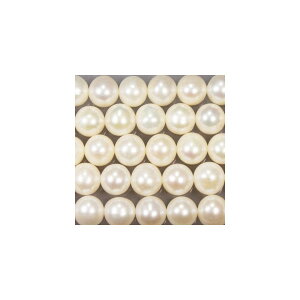 Wp[@zCg@ہ@9mm@嗱@^쎩RF@ANZT[p[c@|pi@vXbg@lbNX