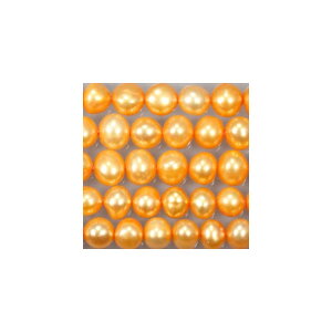 Wp[@ہ@s[`S[h@6mm@ANZT[p[c@|i@lbNX@V