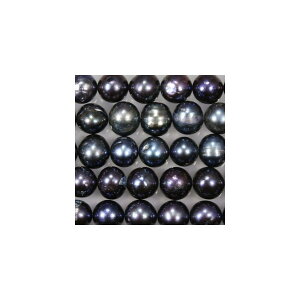 Wp[@ہ@ubN@@嗱@12x13mm@1{@ANZT[p[c@|pi@^@pi