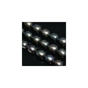 Wp[@I[o@6×7mm@ubNVo[@1{@ANZT[p[c@lbNX@@|pi@^