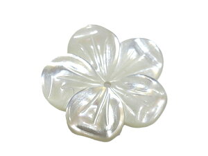 �V�F�� �p�[�c�@�����L�@�t�����[�@���a19mm�A����3mm 1�@�A�N�Z�T���[�p�[�c�@��|�i�@�V�R��