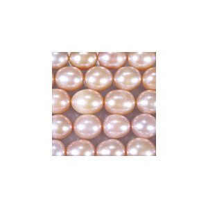 Wp[@I[o@p[v@嗱@8x9mm@ANZT[p[c@|pi@pi@^