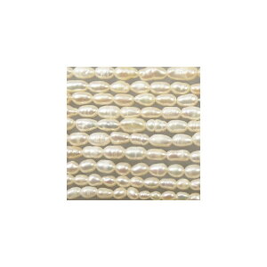 Wp[@zCgI[o(RF)@()5×7-8mm@1{@ANZT[p[c|pi@lbNX@^