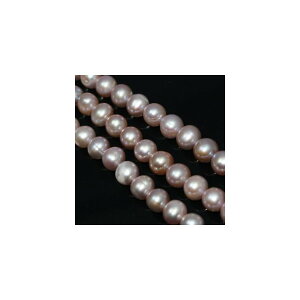 Wp[@Eh@6mm@p[v@1{@ANZT[p[c@|i@@lbNX@vXbg@V