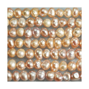 Wp[@s[`RF@ہ@5mm@1A@Vׁ@ANZT[p[c@@lbNX@|i