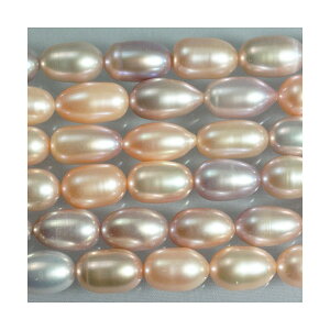 Wp[@s[`^쎩RF@I[o@@7x11`13mm@1{@ANZT[p[c@|pi@vXbg@lbNX