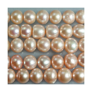 Wp[@s[`sN@^쎩RF@ہ@9mm@1{@ANZT[p[c@|pi@vXbg@lbNX