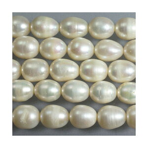 Wp[@zCg^쎩RF@I[o@8x10mm@1{@ANZT[p[c@|pi@vXbg@lbNX