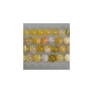 VR CG[mE@8mm@1{@ANZT[p[c@|pi@pi@p[Xg[@΁@vXbg