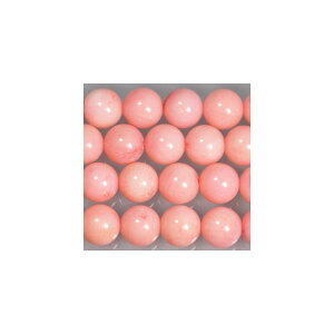 TS ۋ 8mm@sN@ 1{@ANZT[p[c@|pi@lbNX