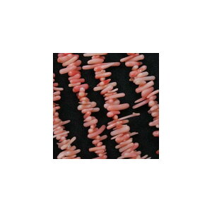 TU@X@sN@߁@VR΁@1A@ANZTp[c  p[Xg[ uXbg