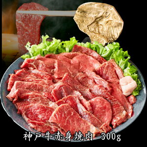 yoבΉz_ˋ@Ԑgēp@300gi2lOj  䒆 ăMtg Ε _˃r[t Mtg  a v[g ̓ ̓  񂹃O ē Ă Ԑg