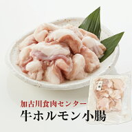 【即日出荷対応】牛ホルモン（小腸）　ぷるっぷるでコラーゲンたっぷり　200g【産地直送】