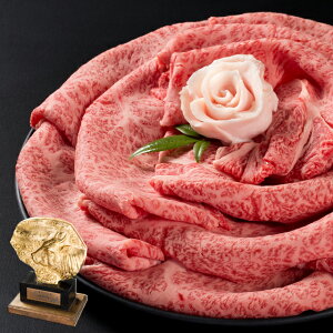 yoבΉz_ˋ[XĂ 500gi2`3lOjykCEւ+500~zyⓀցz_˃r[t  񂹃O Mtg a v[g p 