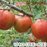 青森りんご☆送料無料☆家庭用サンつがる10キロ28〜40玉 発送は9月13日頃から