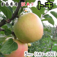青森りんご☆送料無料☆訳ありトキ5キロ14〜20玉 発送は10月1日頃から