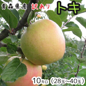 X񂲁󂠂gL10L28`40 101