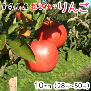 y܃TE[hl߂ƂȂ܂zX񂲁󂠂10kg(10LO)28`50