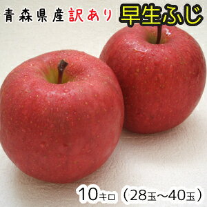 X񂲁󂠂葁ӂ10L28`40 1010