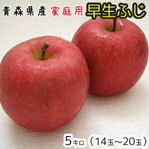 X񂲁ƒpӂ5L14`20ʁ@1010