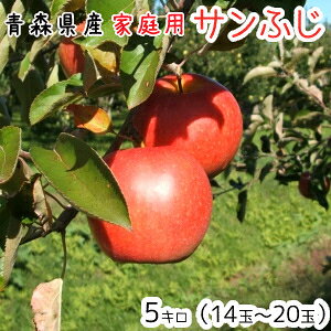 X񂲁ƒpTӂ5L14`20 1120