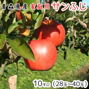 X񂲁ƒpTӂ10L28`40ʁ@1120