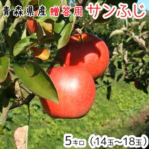 青森りんご☆送料無料☆贈答用サンふじ5キロ14〜18玉発送は11月30日頃から