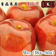 青森りんご☆送料無料☆家庭用紅玉9〜10キロ36〜50玉　発送は10月17日頃から