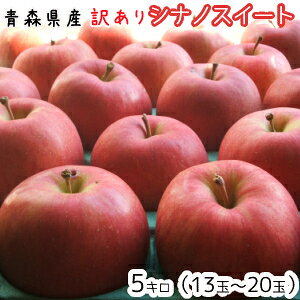 青森りんご☆送料無料☆訳ありシナノスイート5キロ13〜20玉 発送は11月1日頃から