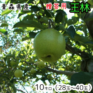 青森りんご☆送料無料☆贈答用王林10キロ28〜36玉 発送は11月30日頃から