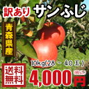青森りんご☆送料無料☆訳ありりんごサンふじ10kg(10キロ)28〜40玉【わけありりんご】　発送は11月22日頃から ランキングお取り寄せ