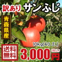 青森りんご 送料無料 訳ありりんごサンふじ10kg（10キロ）40玉 色薄品【りんごわけあり・リンゴ】 ランキングお取り寄せ