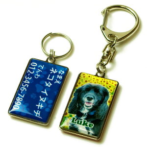 迷子札 写真 名入れ 名前入り 文字入れ ペット 連絡先 メタルプレート 長方形 20x35mm 首輪取り付け金具付 両面印刷 大型犬 中型犬