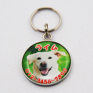 qD ybg ʐ^ qD A STCYa20mm Vo[  O  L ^