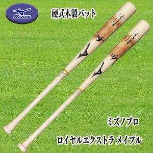 MIZUNOi~Ymj dpؐobg PROFESSIONAL vtFbVi Cv 84cm 890g 1CJWH23284