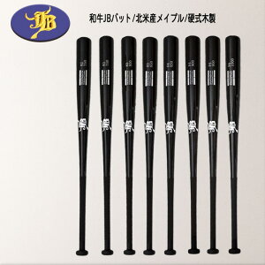 a AObv g[jO|obgI[ubNJ[ ŉ S8 BPBW