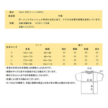 左胸ビッグC同色刺繍チャンピオンTシャツc3-m358-07