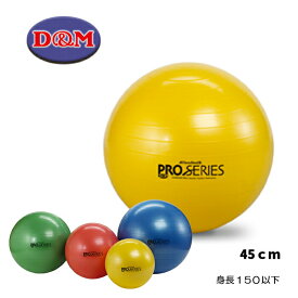 D&M バランスボール セラバンド エクササイズボール 筋力トレーニング ストレッチ SDS-45