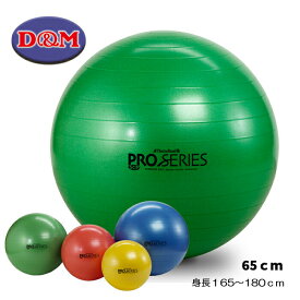 D&M バランスボール セラバンド エクササイズボール 筋力トレーニング ストレッチ SDS-65