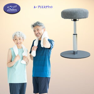 mizuno ���E�v���G �X�N���b�g �֎q �g���[�j���O �G�N�T�T�C�Y �`�F�A C3JHI90506