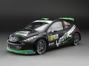 yz@SUNSTAR 1/18 vW[ 207 S2000 2013N c@E[V[ #58 C.Breen/S.Marshall i_CLXg~jJ[ 5441