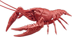 【送料無料】 フジミ模型 自由研究シリーズ No.024 EX-6 いきもの編 アメリカザリガニ(メタリックレッド) プラモデル