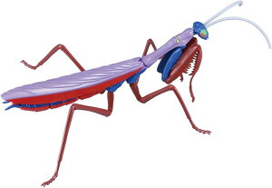 yz@tW~͌^ RV[Y No.234 ȊwEґKb`} IIJ}L xNEJbcFdl Fσvf