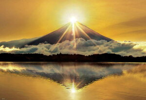 yz@WO\[pY 1000s[X {i ̃_Chxm 49×72cm 51-289