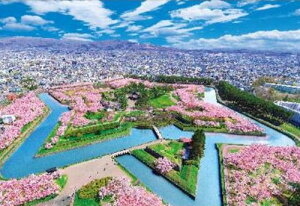 yz@WO\[pY 300s[X i{ijʂܗŊs 38×26cm 300-126