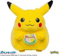 5月22日頃再入荷予定【送料無料】　ポケットモンスター ポケモン30周年記念 おかえり!ピカチュウ1/1