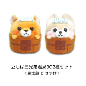 yz@ΎOZ퉷BC 2ZbgiYjʂ݃}XRbg Č {yY Mtg