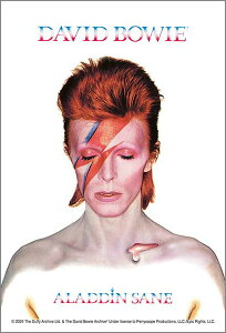 �y�l�R�|�X���������z�@�W�O�\�[�p�Y�� 120�s�[�Xmini�p�Y�� LEGEND OF ROCK ALADDIN SANE (�A���W���E�Z�C��) 14.7×10cm 120-016