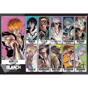 �y���������z�@�W�O�\�[�p�Y�� 1000�s�[�X BLEACH ��N����� BLEACH CALL YOUR NAME VISUAL 51×73.5cm 1000T-537