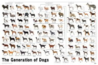 【送料無料】　ジグソーパズル 1000ピース 犬の系統図 12-625s